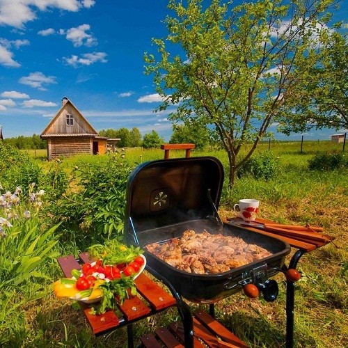 Семейный отдых на природе