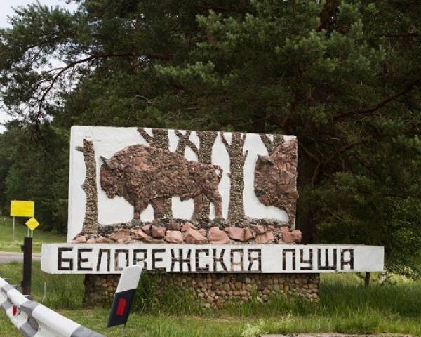 More than half a million tourists are expected in Belovezhskaya Pushcha this year