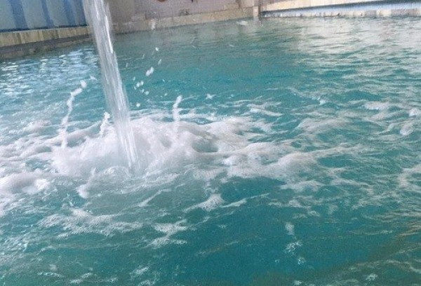 Brestagrozdravnitsa Health Resort: A "Spa Sea" of Unique Mineral Water—Year-Round!