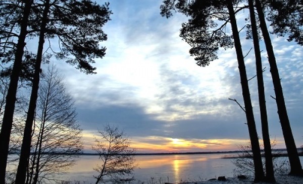 Sosnovy Bor Wellness complex: Belarusian nature that heals both body and soul