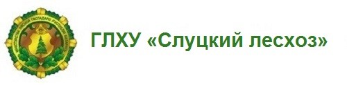 ГЛХУ «Слуцкий лесхоз»