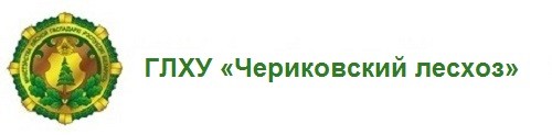 ГЛХУ «Чериковский лесхоз»