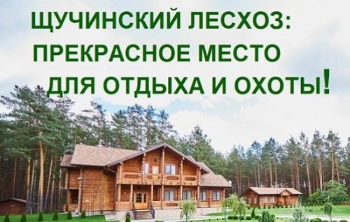 ГЛХУ «Щучинский лесхоз»