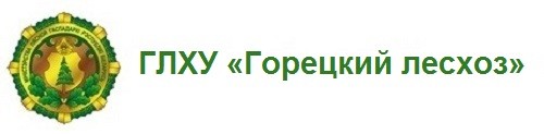 ГЛХУ «Горецкий лесхоз»