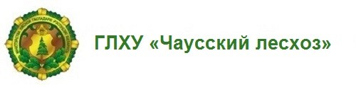 ГЛХУ «Чаусский лесхоз»