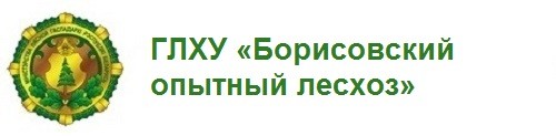 ГЛХУ «Борисовский опытный лесхоз»